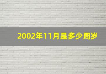 2002年11月是多少周岁