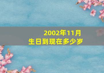 2002年11月生日到现在多少岁