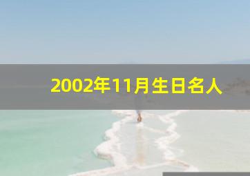 2002年11月生日名人