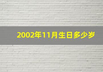 2002年11月生日多少岁