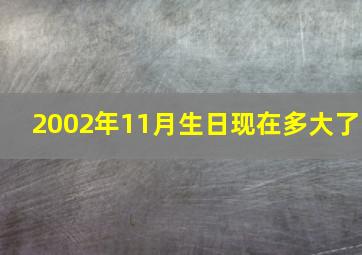 2002年11月生日现在多大了