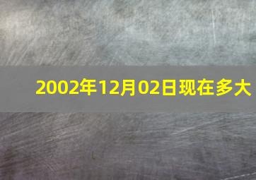 2002年12月02日现在多大