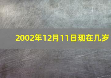 2002年12月11日现在几岁