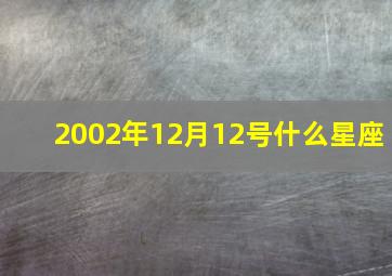 2002年12月12号什么星座