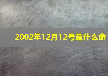 2002年12月12号是什么命