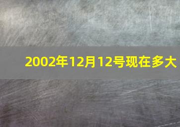 2002年12月12号现在多大