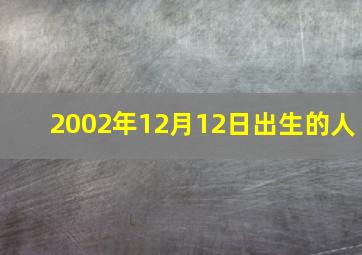 2002年12月12日出生的人