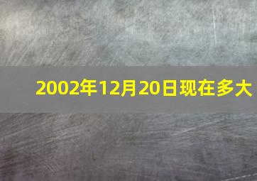 2002年12月20日现在多大