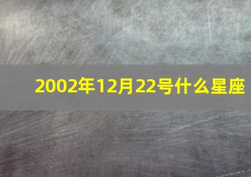 2002年12月22号什么星座