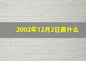 2002年12月2日属什么