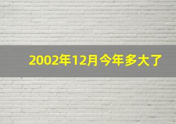 2002年12月今年多大了