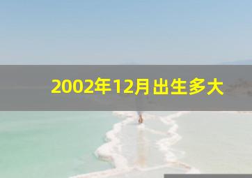 2002年12月出生多大