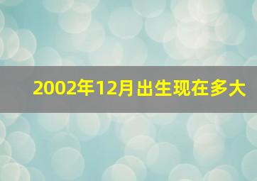 2002年12月出生现在多大