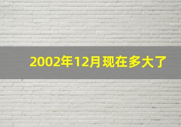 2002年12月现在多大了