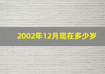 2002年12月现在多少岁