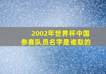 2002年世界杯中国参赛队员名字是谁取的