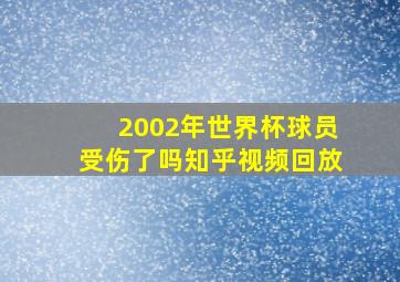 2002年世界杯球员受伤了吗知乎视频回放