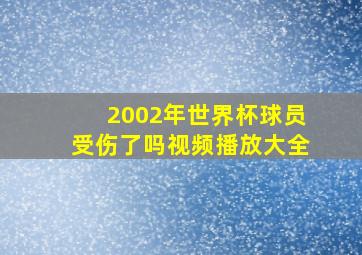 2002年世界杯球员受伤了吗视频播放大全