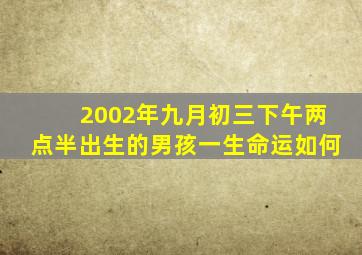 2002年九月初三下午两点半出生的男孩一生命运如何