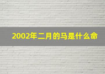 2002年二月的马是什么命