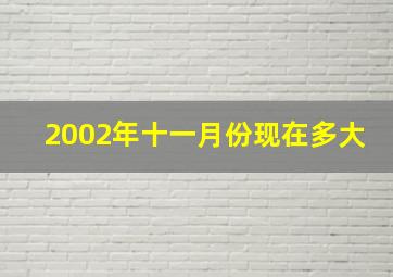 2002年十一月份现在多大