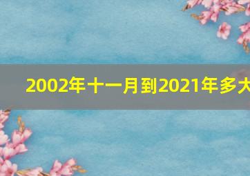 2002年十一月到2021年多大