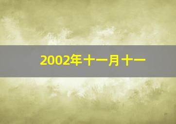 2002年十一月十一