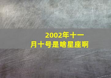 2002年十一月十号是啥星座啊