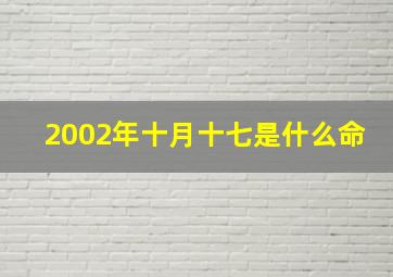 2002年十月十七是什么命