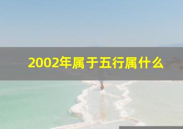 2002年属于五行属什么