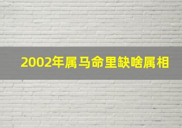 2002年属马命里缺啥属相