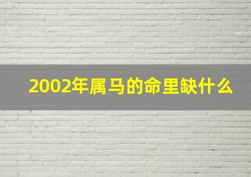 2002年属马的命里缺什么