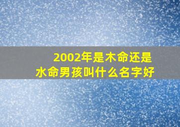 2002年是木命还是水命男孩叫什么名字好