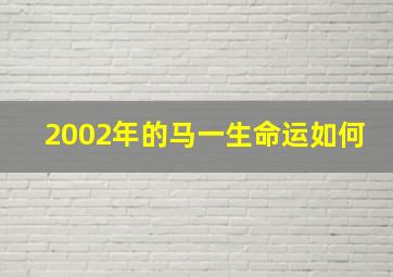 2002年的马一生命运如何