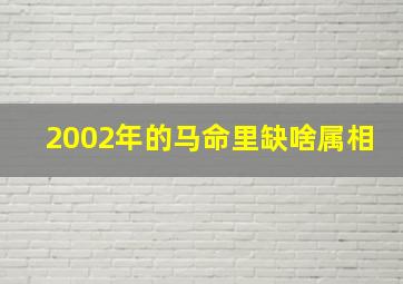 2002年的马命里缺啥属相