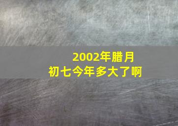 2002年腊月初七今年多大了啊