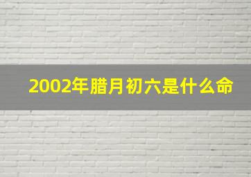 2002年腊月初六是什么命