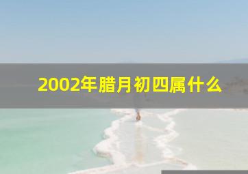 2002年腊月初四属什么