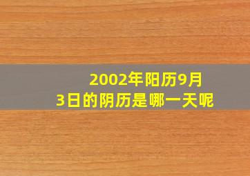 2002年阳历9月3日的阴历是哪一天呢