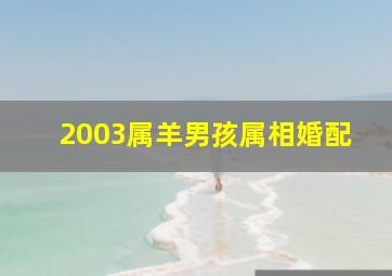 2003属羊男孩属相婚配