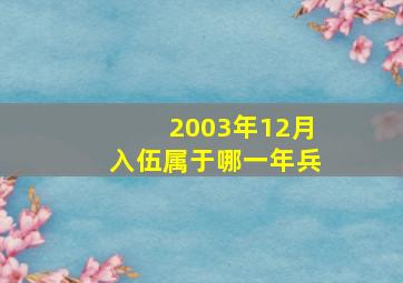 2003年12月入伍属于哪一年兵