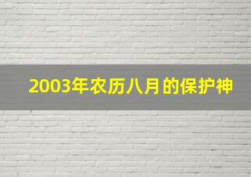 2003年农历八月的保护神