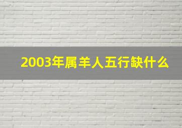 2003年属羊人五行缺什么