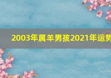 2003年属羊男孩2021年运势