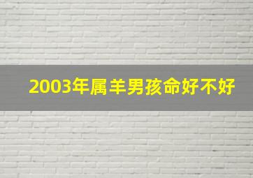 2003年属羊男孩命好不好