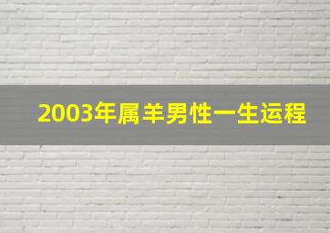 2003年属羊男性一生运程