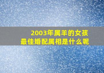 2003年属羊的女孩最佳婚配属相是什么呢