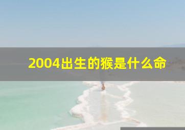 2004出生的猴是什么命