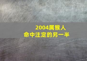 2004属猴人命中注定的另一半