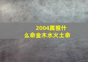 2004属猴什么命金木水火土命